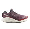 Salomon AERO GLIDE 4 - Huckleberry Vanilla Lava