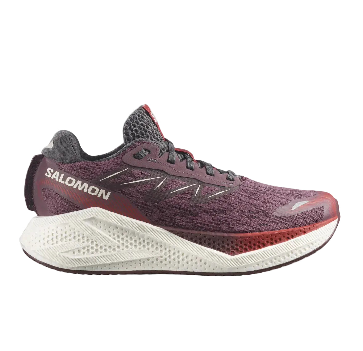Salomon AERO GLIDE 4 - Huckleberry Vanilla Lava