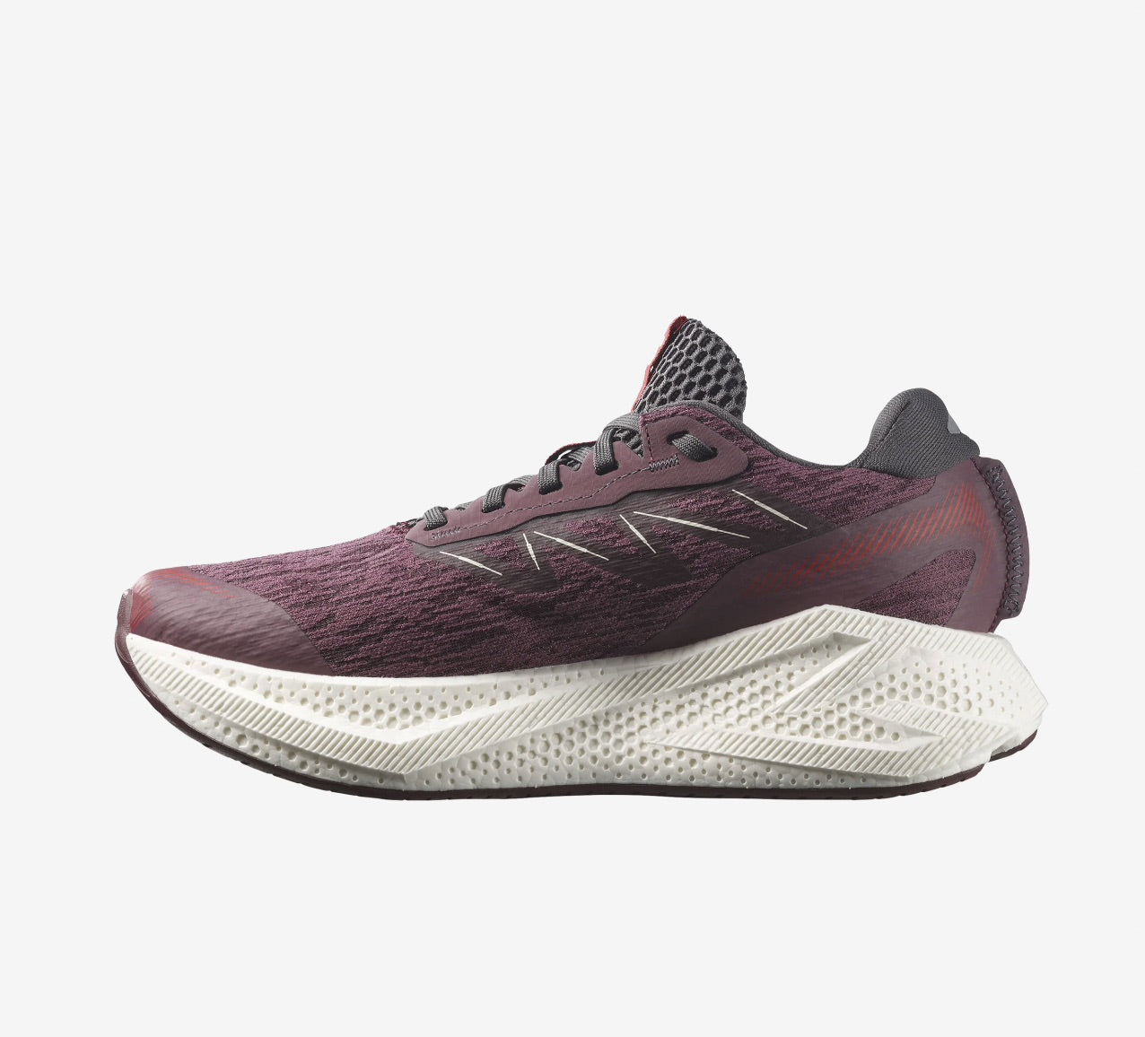Salomon AERO GLIDE 4 - Huckleberry Vanilla Lava