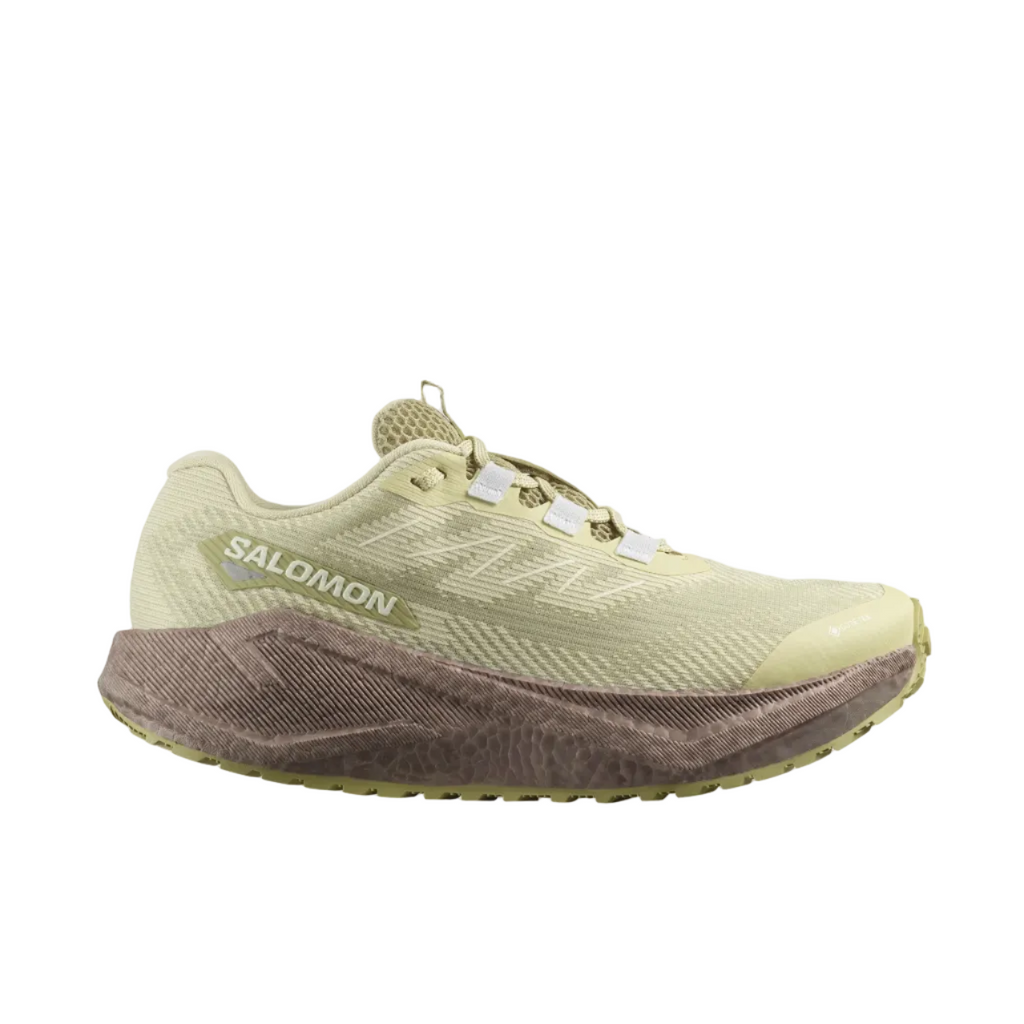 Salomon - Aero Blaze Goretex Green Haze Iron Women